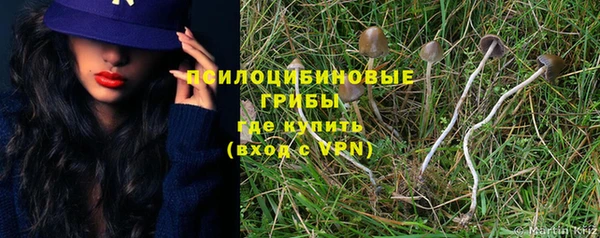 марихуана Абаза